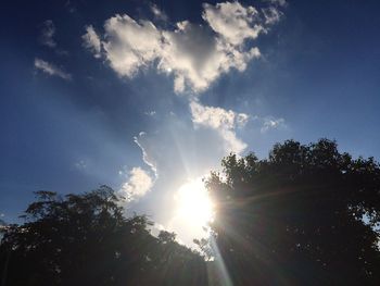 Low angle view of trees against sky