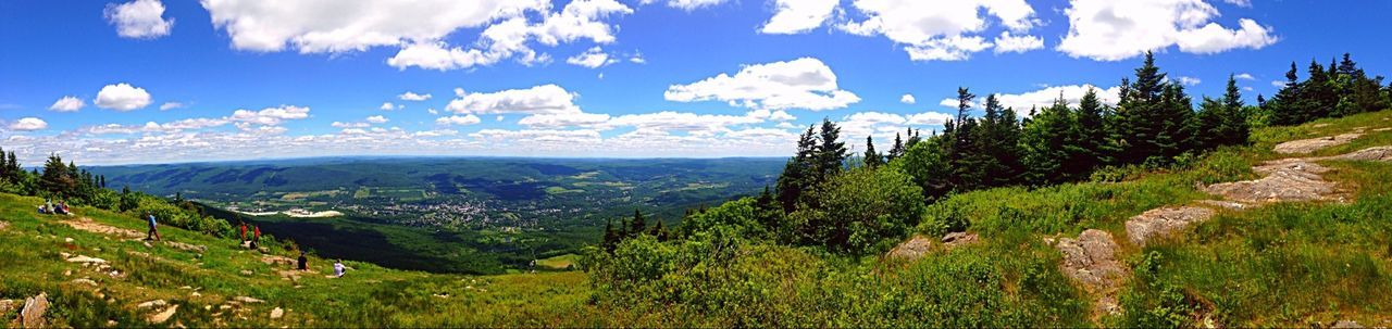 Mt greylock