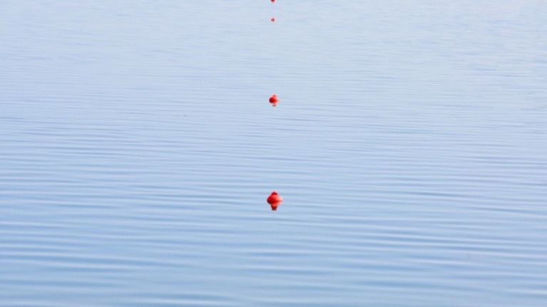 RED FLOATING ON WATER