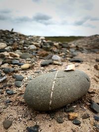 Close-up of stones on shore