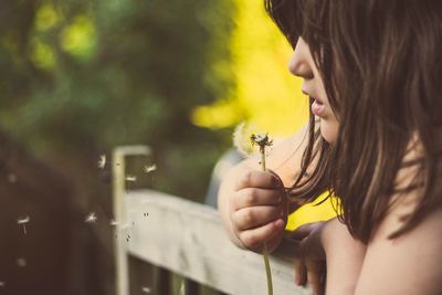Close-up of girl blowing dandelion seeds at park