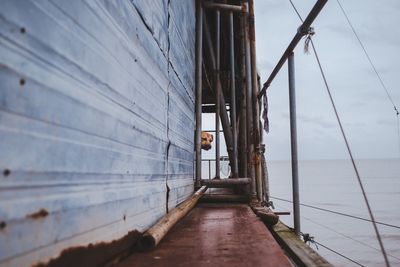 Man by sea against sky