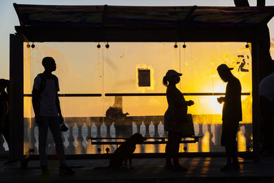 Silhouette at sunset of tree, bus stop and people walking on the edge of porto da barra.