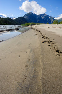 Scenic view of beach against sky