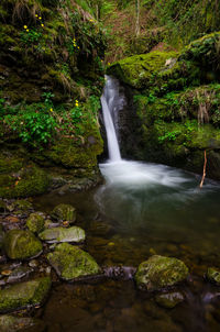 Scenic view of waterfall in forest