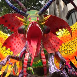 Close-up of multi colored umbrella