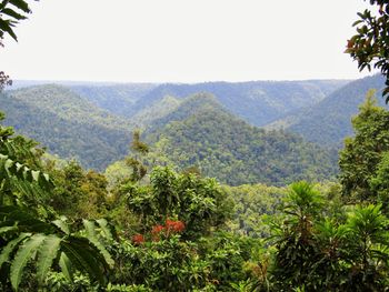 Scenic view of mountains