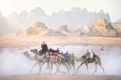 People riding horse in mountains