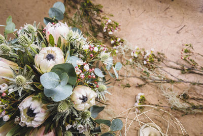 High angle view of flower pot