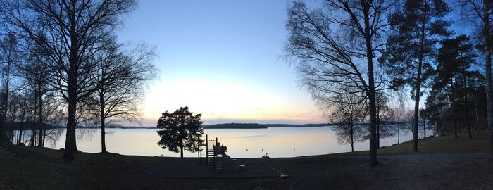 Bare trees by calm lake