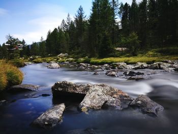 Scenic view of rocks in forest against sky