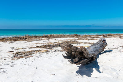 Scenic view of sea against clear blue sky