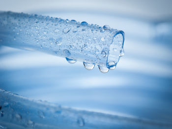 Close-up of water drops on ice