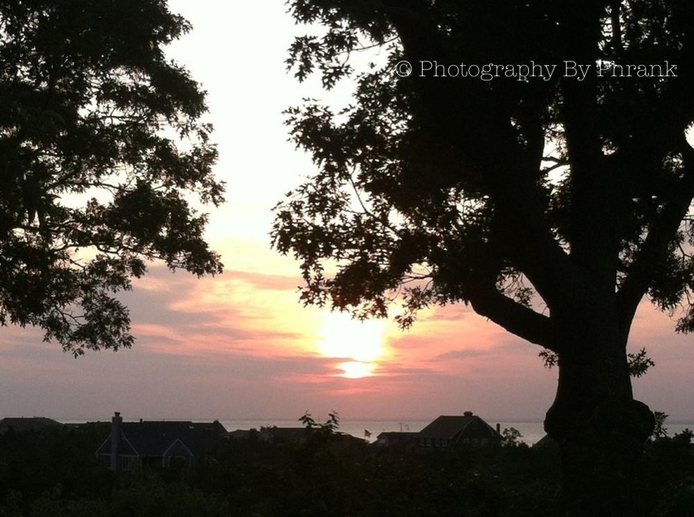 sunset, tree, silhouette, tranquility, tranquil scene, scenics, beauty in nature, orange color, sun, sky, nature, idyllic, growth, tree trunk, sunlight, branch, outdoors, no people, non-urban scene, landscape