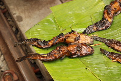 Speared cooked crocodile