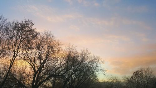 Low angle view of bare trees against sky at sunset