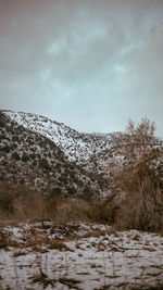 snow