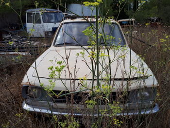 Abandoned car on field