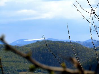 Close-up of barbed wire against sky