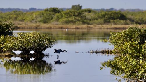 Scenic view of lake