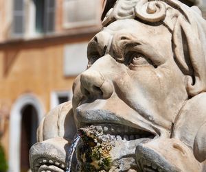 Close-up of historic fountain statue against building in rome