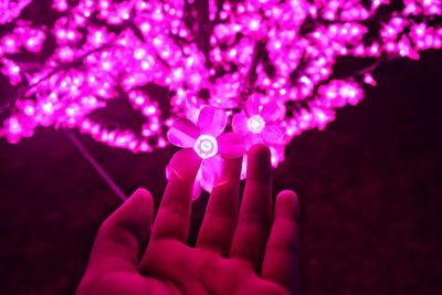 Close-up of hand holding illuminated purple lights