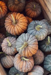 Full frame shot of pumpkins