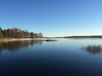 Reflection of trees in calm lake