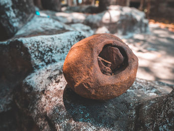 Close-up of stone on rock