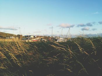 Scenic view of clear sky