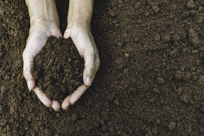 High angle view of woman hand holding sand