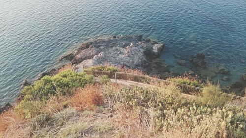 High angle view of rocks on beach
