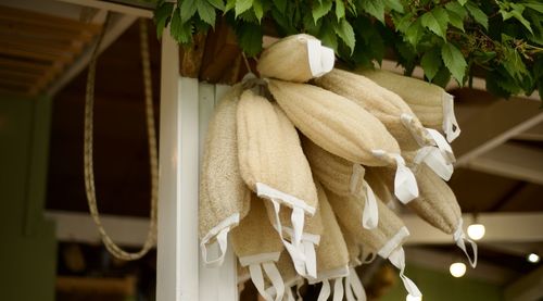 Close-up of bananas hanging on window