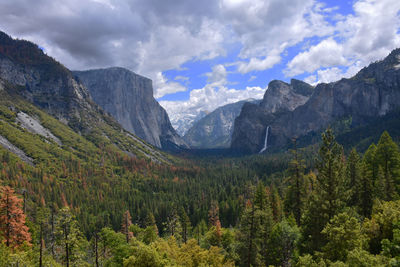 Trees growing by mountains against cloudy sky at yosemite valley