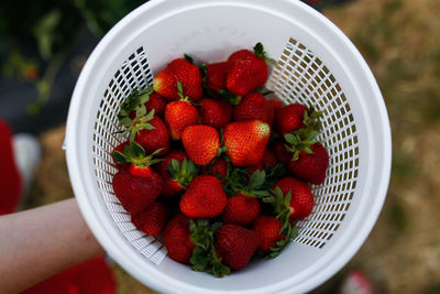 High angle view of strawberries in bowl