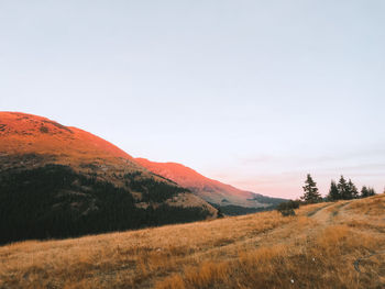 Scenic view of landscape against clear sky