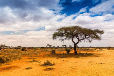 View of landscape against cloudy sky