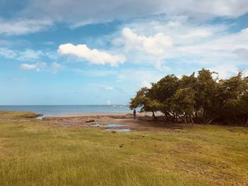 Scenic view of sea against sky