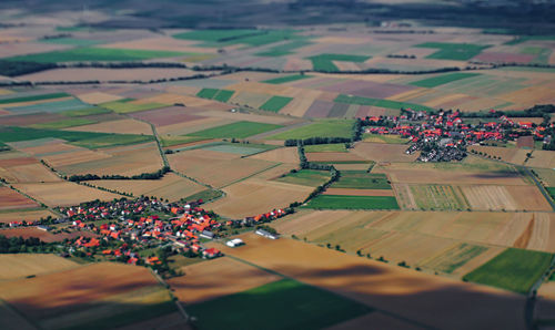 High angle view of agricultural field