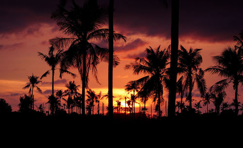 Silhouette palm trees against sky during sunset