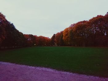 Trees on grassy field against clear sky