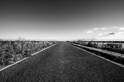 Cracked asphalt from the heat of a lonely road on a sunny summer day