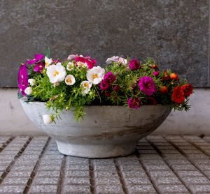Close-up of flower pot
