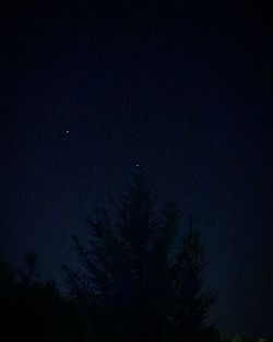 Low angle view of silhouette tree against sky at night