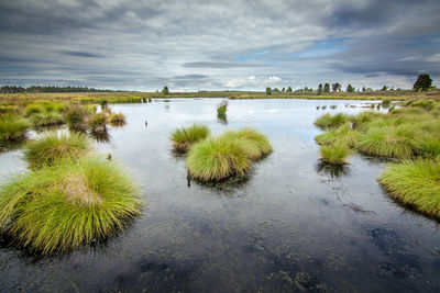 Scenic view of lake against sky