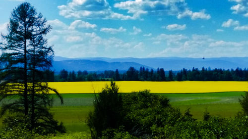 Scenic view of field against cloudy sky