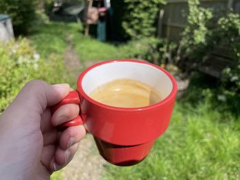 Cropped hand holding coffee