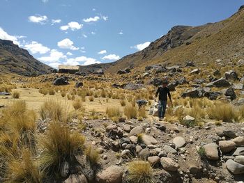 Man walking on field amidst rocks and bushes against sky