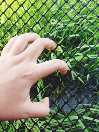 Cropped image of person hand by chainlink fence