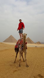 Man standing over camel on sand in desert against sky